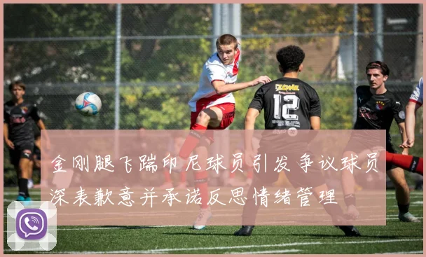 金刚腿飞踹印尼球员引发争议球员深表歉意并承诺反思情绪管理